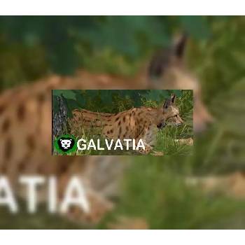 Galvatia