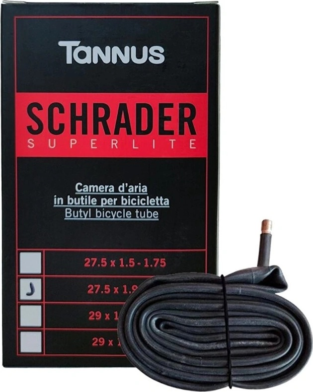 Tannus AV
