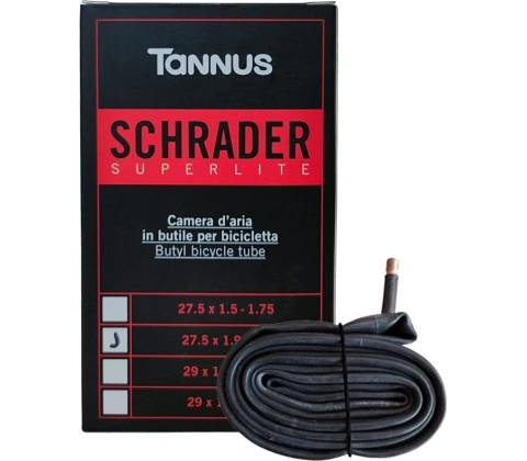 Tannus AV