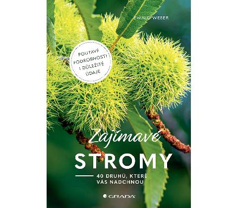 Zajímavé stromy