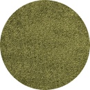 Koberce a koberčeky Ayyildiz Dream Shaggy 4000 Green