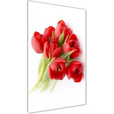Vertikálny foto obraz sklo tvrdené Červené tulipány 50x100 cm