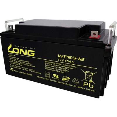 Long WP65-12 12 V 65 Ah