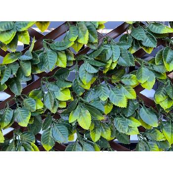 NIKA Декоративна ограда Хармоника uv ГАРДЕНИЯ ii 1.0х2.0 м (mz 192006a)