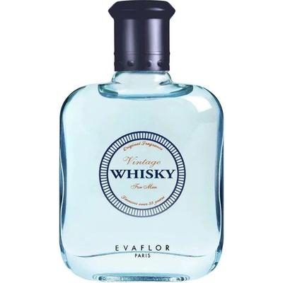 Evaflor Whisky Vintage toaletní voda pánská 100 ml