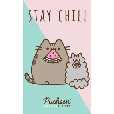 TipTrade Bavlnený froté uterák 30x50 cm Mačička Pusheen Stay Chill