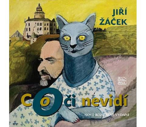 Co oči nevidí