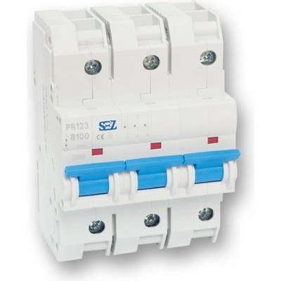 SEZ PR 123 B 80A