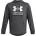 Under Armour Rival Terry Graphic Hood - Grey