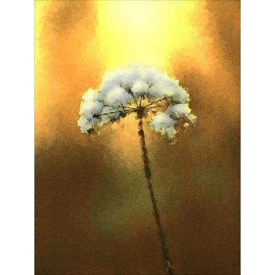 Takoy Funkční počesaná teplákovina PANEL 78x104 cm pod sněhem