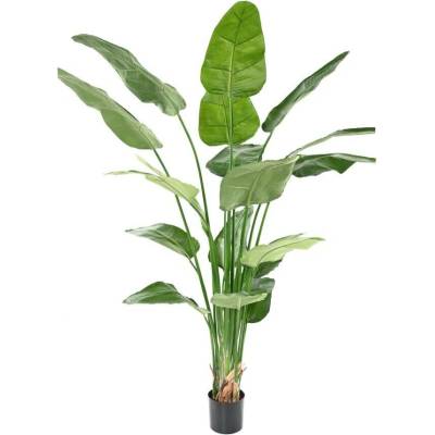 Luxusní umělá rostlina STRELITZIA NICOLAI, 220cm