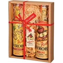 Kitl Syrob Zázvorový a Jablko a křížaly 2 x 0,5 l