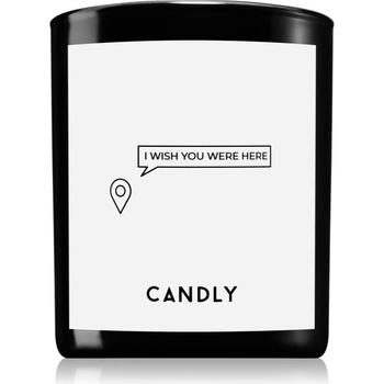 Candly & Co Candly & Co. I wish you were here ароматна свещ 250 гр