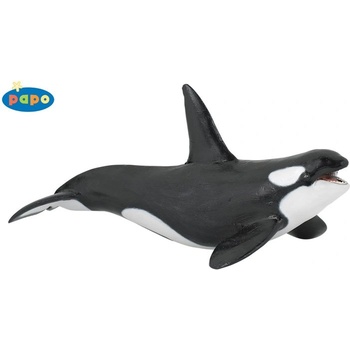 Image 1 of Papo - Фигурка Killer Whale 56000G