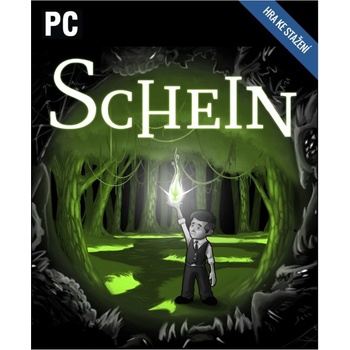 Schein