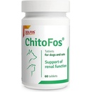 Dolfos ChitoFos podpora funkce ledvin Obsah balení: 60 tablet