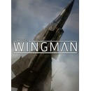 Project Wingman