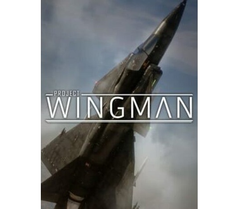 Project Wingman