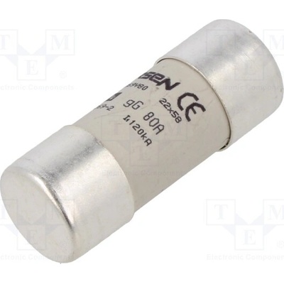 MERSEN FR22GG69V80 Pojistka: tavná; keramická,kulatý,průmyslová; 80A; 690VAC; 250VDC