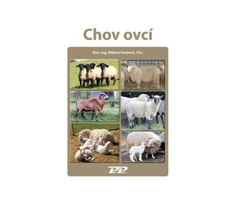 Chov ovcí