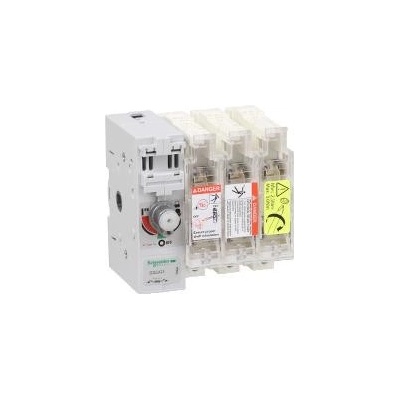 Schneider Electric GS2JG3 Pojistkový odpínač 3P 100A 22 x 58 – Hledejceny.cz