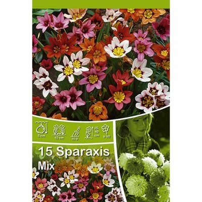 Směs sparaxis