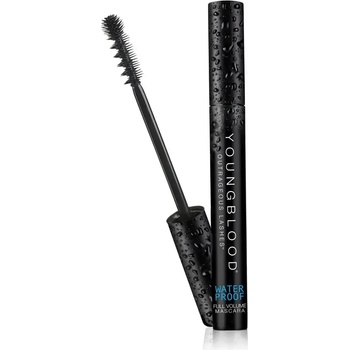 Youngblood Водоустойчива спирала за мигли за обем Youngblood Outrageous Lashes Mascara (12112)