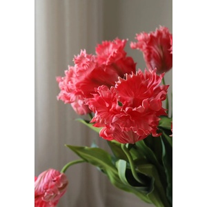 Botané Изкуствен букет Декоративен 66 x 15 cm (BOT.BOU.174)
