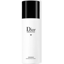 Dior Dior Homme deo spray 150 ml