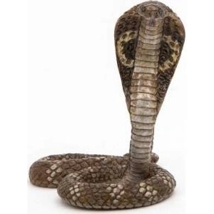 Papo King cobra