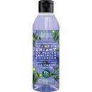 Barwa Natural Flax posilňujúci šampón s vitamínmi 300 ml