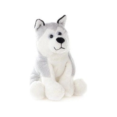 Pes husky