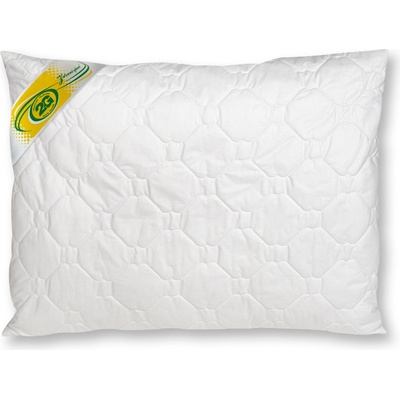 2G Lipov Vyvařovací polštář Clivie+ 70x90