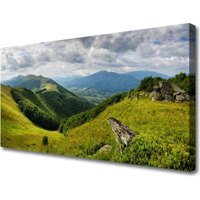 Obraz na plátně Hora Louka Krajina 100x50 cm