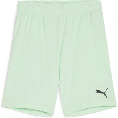 Puma Teamgoal shorts jr 705753-60