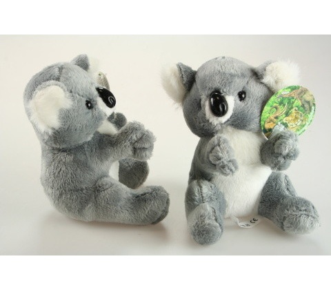 koala