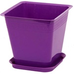 Roto Liliia 22x21 cm