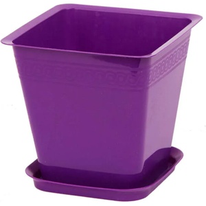 Roto Liliia 22x21 cm
