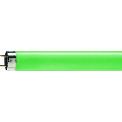 Philips Zářivka TL-D 58W 17 zelená T8 G13 150cm 6750Lm