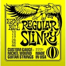 Struny Ernie Ball 2221