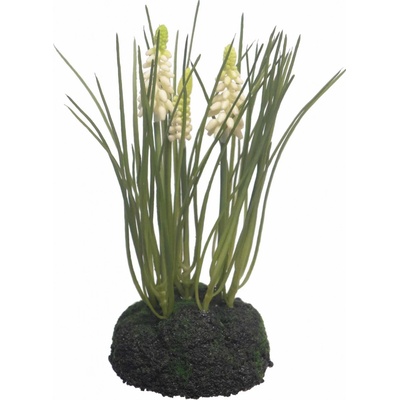 Modřenec - muscari s travou krémový 23 cm (N920650)