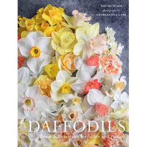 NARCISSUS | SLADE NAOMI (ISBN: 9781423668060)
