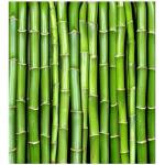DIMEX ART Флизелинов фототапет бамбук 225 x 250 см