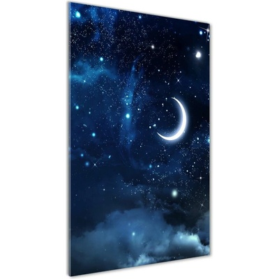 Vertikálny foto obraz fotografie na skle Hviezdne nebo 50x100 cm