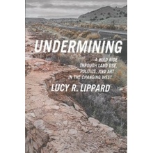 Undermining Lippard Lucy