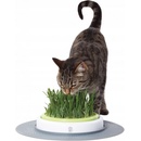 Catit Grass Garden Kit pre mačky 5,5 x 37 x 37 cm
