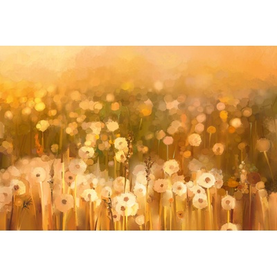 DIMEX ART Флизелинов фототапет картина - винтидж глухарче 375 x 250 см