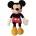 Disney Mickey