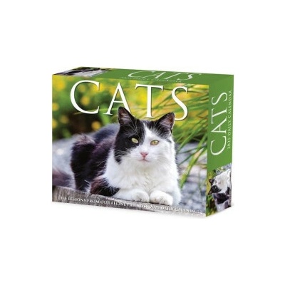Cats 5.4 X 6.2 Box Willow Creek Press 2026