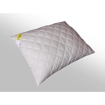 2G Vankúš Camel 900g zip 70x90